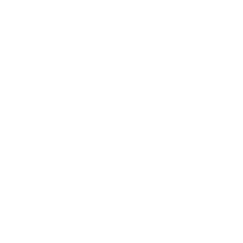 Gol in rete